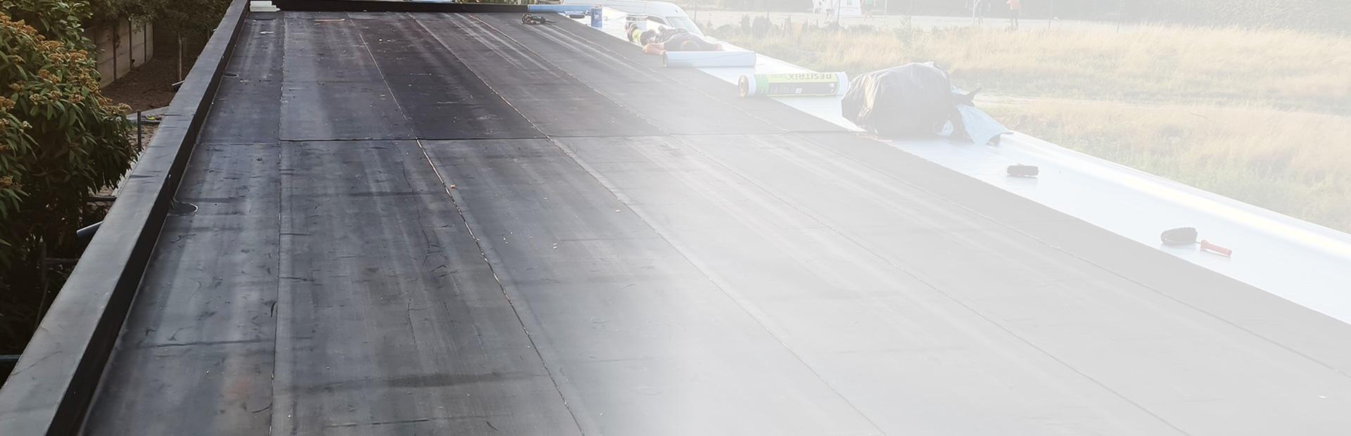 Ogród na dachu budynku